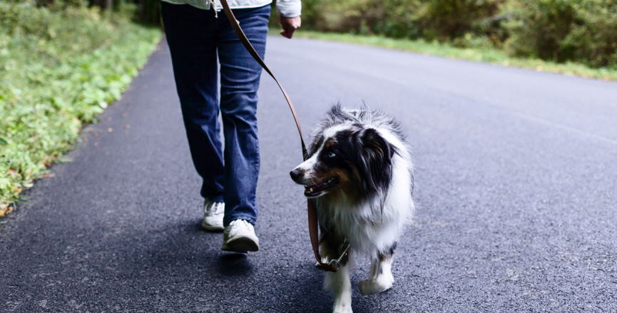 walk for exercise